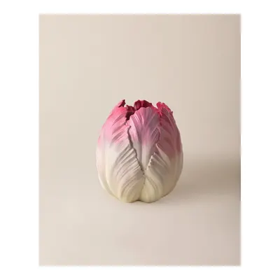Camellia Vazo - Renkli