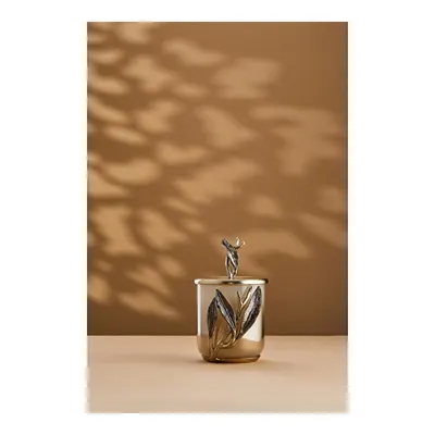 Cornella Ivy Antik Gold Detaylı Krem Ombreli Cam Kavanoz Küçük Ağız:12 Cm X Boy:13 Cm X Tümü:20 Cm